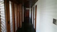 Tranquility Estate Bed And Breakfast Kingston Exterior foto